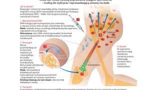 Ilustracja pokazuje doping genowy, gdzie wirusy wprowadzają DNA do komórek, by zwiększyć produkcję erytropoetyny i liczbę czerwonych krwinek, poprawiając wydolność sportowca.