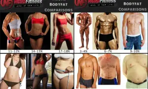 Jak sprawdzić body fat? Wizualne porównanie procentu tkanki tłuszczowej u kobiet i mężczyzn, od 3-4% do 34-35%.