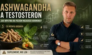 Ashwagandha a testosteron: jak wpływa na poziom męskiego hormonu? Badania, wsparcie płodności, energia, redukcja stresu.