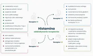 Schemat przedstawia działanie histaminy na receptory H1-H4, wpływając na objawy związane z nietolerancją histaminy, np. zapalenie, reakcje alergiczne.