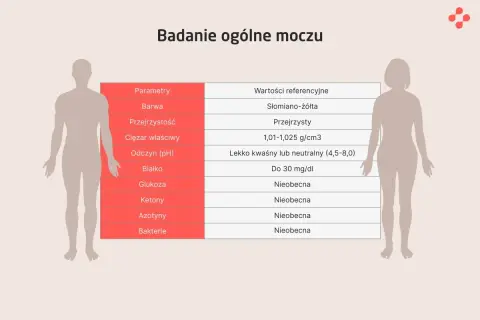 Tabela z parametrami i wartościami referencyjnymi badania ogólnego moczu, wskazująca prawidłowe wyniki.
