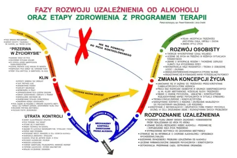 Schemat faz uzależnienia od alkoholu i etapów zdrowienia. Alkoholowa marskość wątroby długość życia jest powiązana z tym procesem.