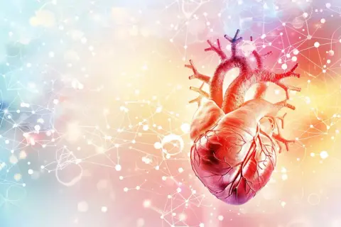 Anatomical heart with network overlay. Rozważając l-arginina skutki uboczne, warto pamiętać o jego wpływie na układ krążenia.