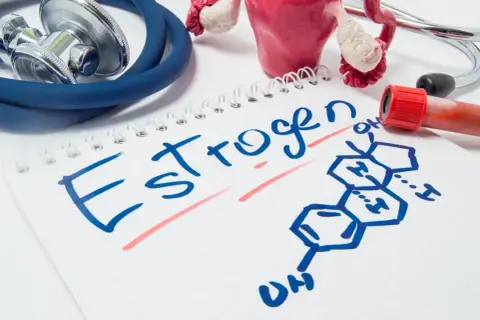 Estrogen co to? Notatka z chemicznym wzorem estrogenu, modelem narządów rodnych i stetoskopem.