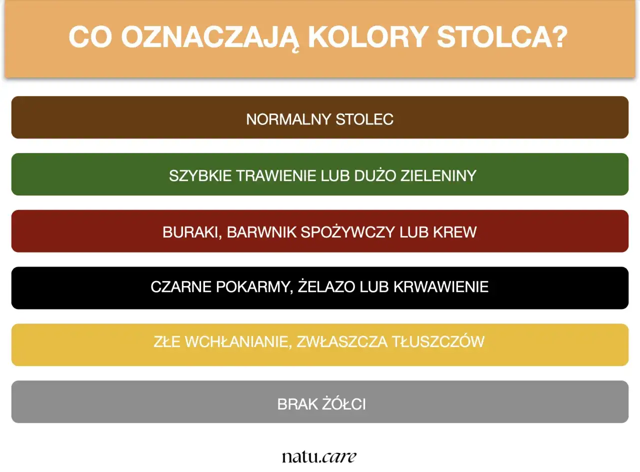 Skala bristolska wyjaśnia kolory stolca: od normalnego, przez szybkie trawienie, po problemy z wchłanianiem czy brak żółci.