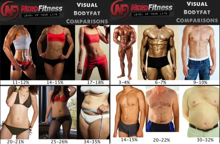 Jak sprawdzić body fat? Wizualne porównanie procentu tkanki tłuszczowej u kobiet i mężczyzn, od 3-4% do 34-35%.