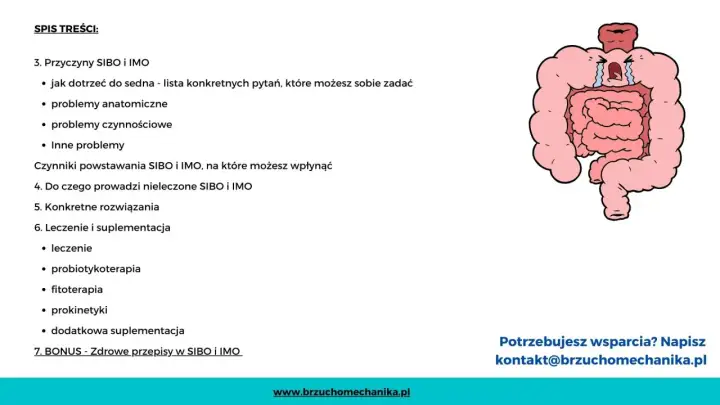 Rysunek przedstawia cierpiące jelita, symbolizujące IMO chorobę. Spis treści omawia przyczyny, objawy i leczenie.